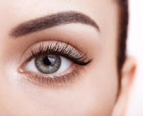 The TAOND LASH & BROW Course